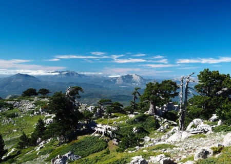 Matera - Parco del Pollino
